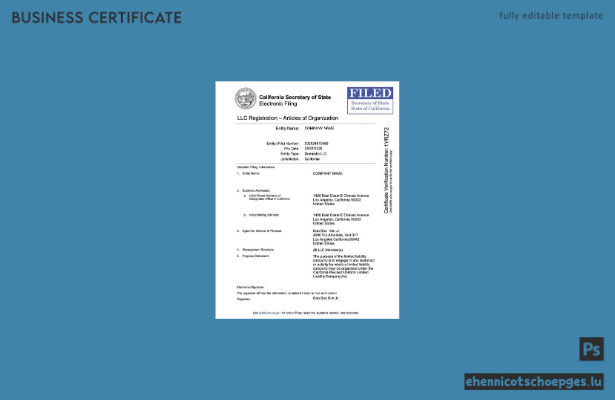 USA, Kalifornien: LLC-Registrierung (Word- und PDF-Beispiel)